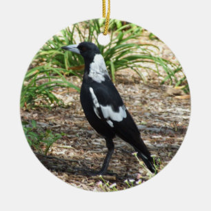 Australische Elster-Verzierung Keramik Ornament