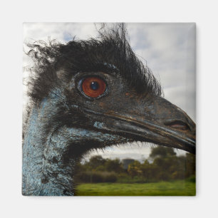 Australische Emu Nah Up, Kühlschrankmagnet