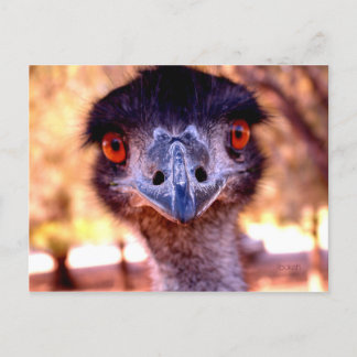 Australische Emu Wildlife Postcard Postkarte
