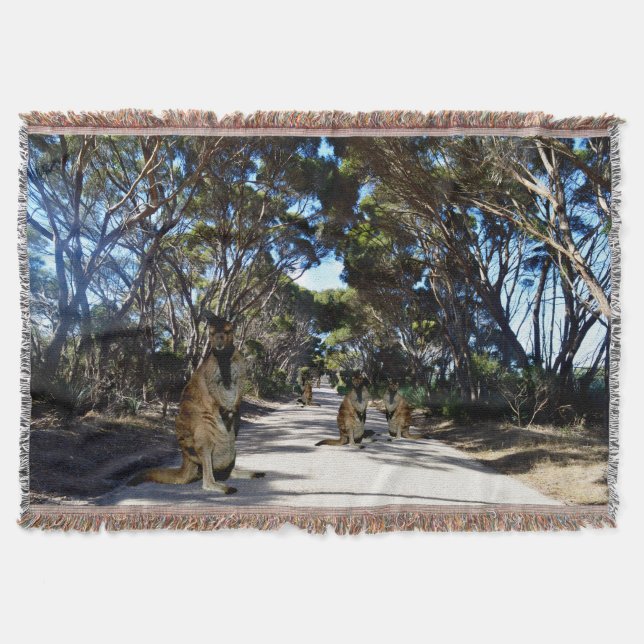 Australische Familie Wallaby auf der Insel Kangaro Decke (Vorderseite)