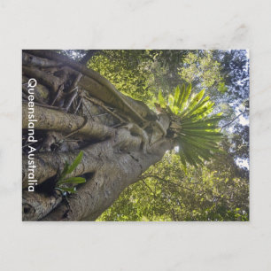 Australische Forstpostkarte Postkarte