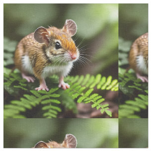 Australische Hüpfmaus, Stoff