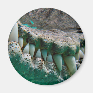 Australische Ikone - großer Croc Terry 2 - Magnet