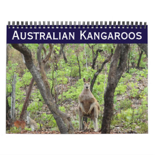 australische Kängurus 2026 Kalender