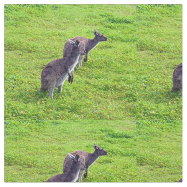 Australische Kängurus auf grüner Weide, Stoff (Nahaufnahme)