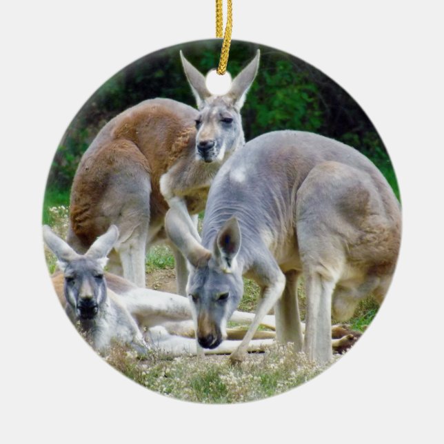 Australische Kängurus, die im Sun sich entspannen Keramikornament (Vorne)