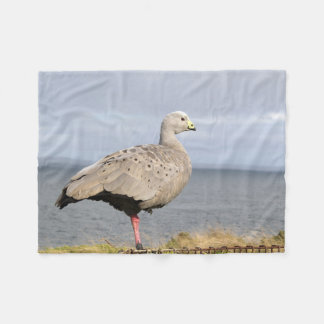 Australische Kapbarren-Gans-Vogel-Küstenfoto Fleecedecke