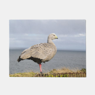 Australische Kapbarren-Gans-Vogel-Küstenfoto Fußmatte
