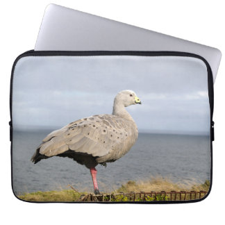 Australische Kapbarren-Gans-Vogel-Küstenfoto Laptopschutzhülle