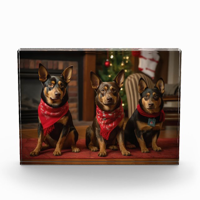 Australische Kelpie am Feuerplatz Weihnachten Fotoblock (Vorderseite)