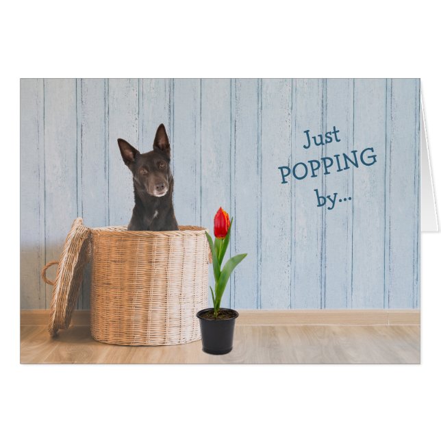 Australische Kelpie Dog Wicker Basket Birthday Car (Vorderseite (Horizontal))