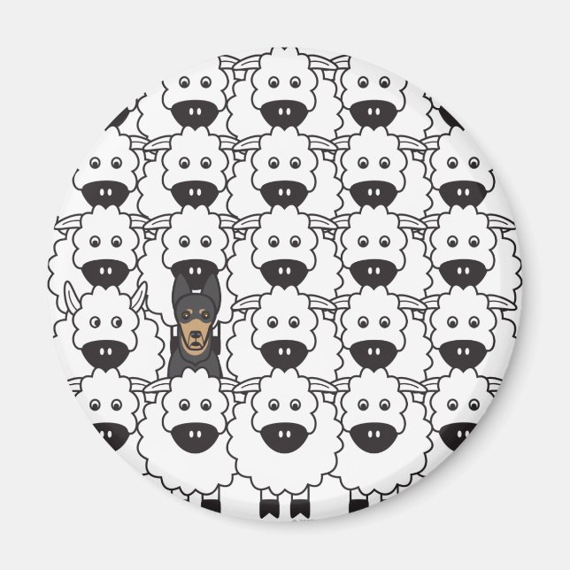 Australische Kelpie im Schafe Magnet (Vorne)