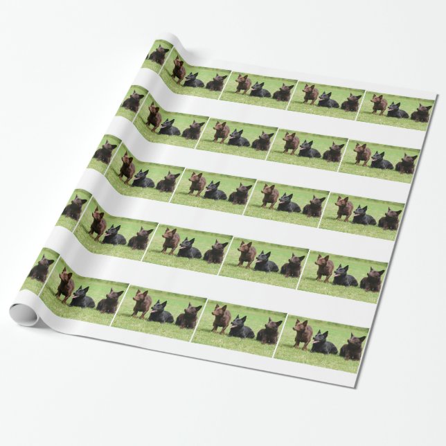 Australische Kelpie-Welpen Geschenkpapier (Ungerollt)