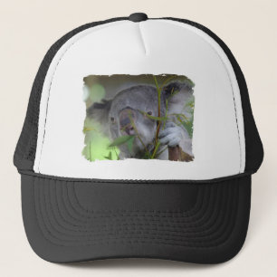 Australische Koala-Baseball-Mütze Truckerkappe