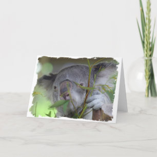 Australische Koala-Gruß-Karte Karte