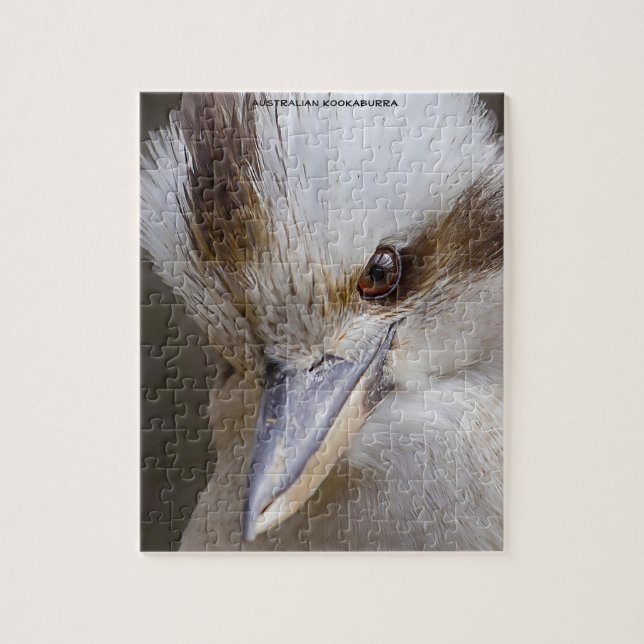 Australische Kookaburra (Vertikal)