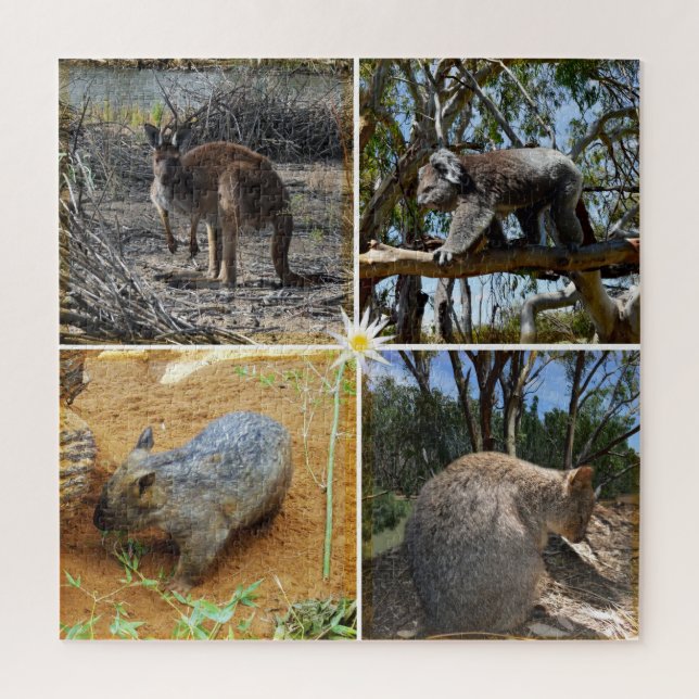 Australische Quokka, Kangaroo, Koala, Wombat, (Vertikal)
