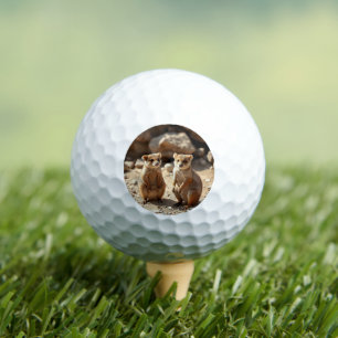 Australische Quokka Twins, Golfball