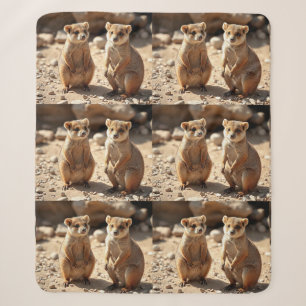 Australische Quokka Twins, Sherpadecke