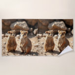 Australische Quokka Twins, Strandtuch<br><div class="desc">Auf Rottnest istLand fotografiert sind zwei Quokkas,  die wie Zwillinge aussehen.</div>
