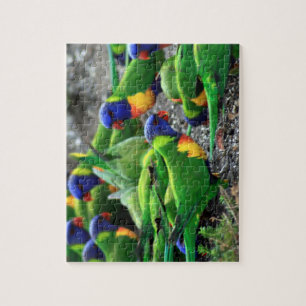 Australische Rainbow Lorikeets