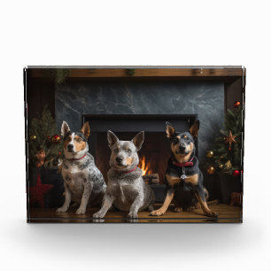 Australische Rinder am Kamin Weihnachten Fotoblock