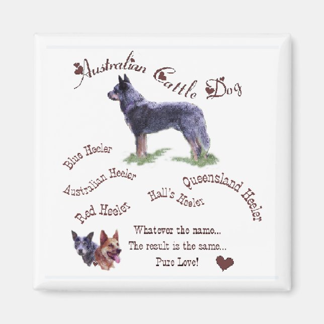Australische Rinder-Hunde-Geschenke Magnet (Vorne)