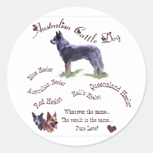 Australische Rinder-Hunde-Geschenke Runder Aufkleber (Vorderseite)