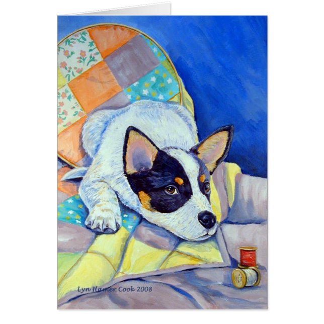 Australische Rinder-Hunde-Karten (Vorne)