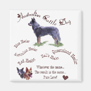 Australische Rinder Hunde Kunstgeschenke Magnet