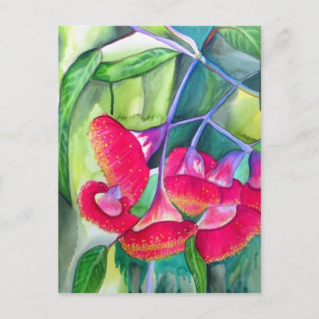 Australische Rot Blütengummi Aquarellkunst Postkarte (Vorderseite)