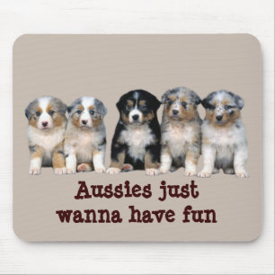 Australische Schäfer-Welpen Mousepad