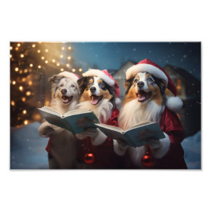 Australische Schäferhunde Weihnachts-Weihnachtsfei Fotodruck
