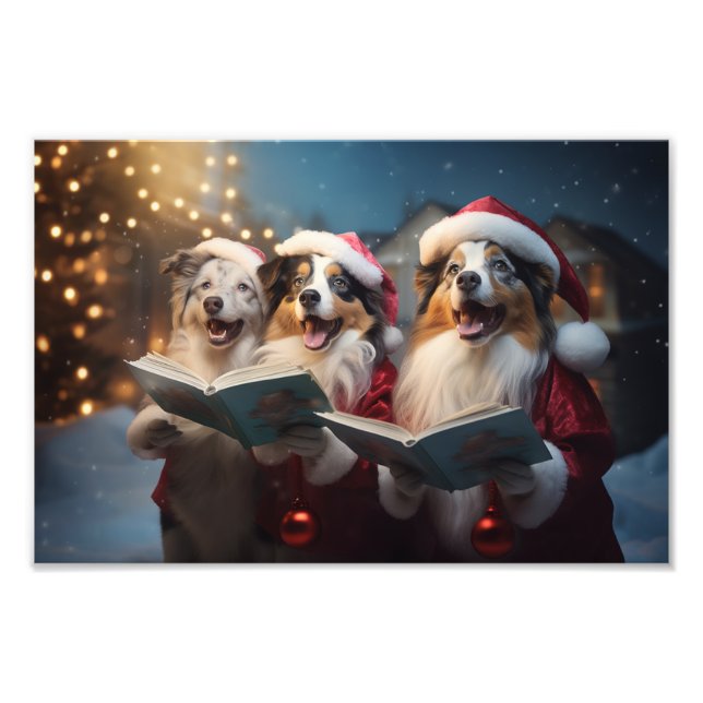 Australische Schäferhunde Weihnachts-Weihnachtsfei Fotodruck (Vorne)