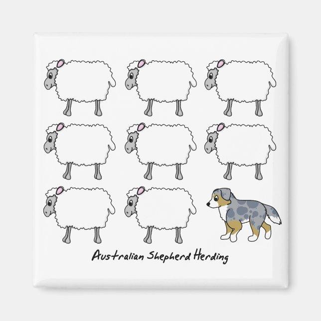 Australische Schafherde Herding Sheep Magnet (Vorne)