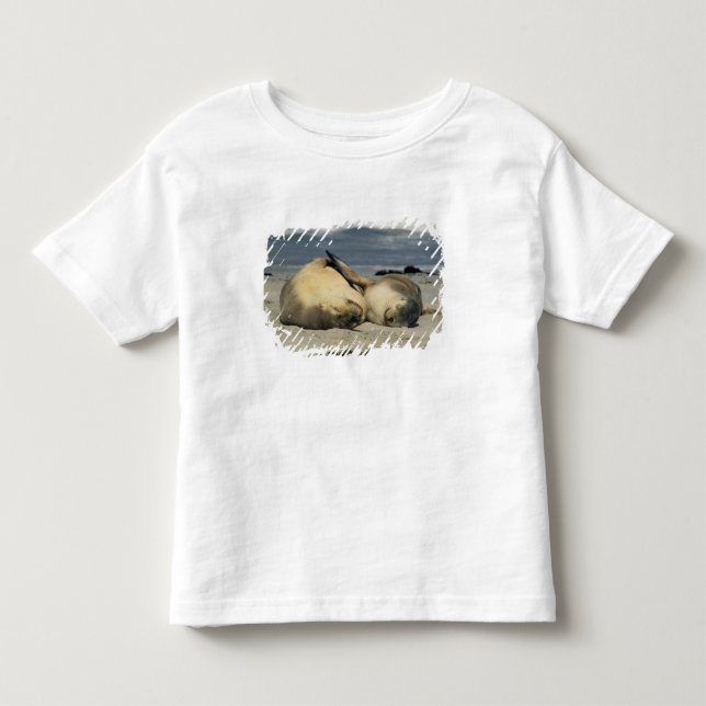 Australische Seelöwen, Neophoca cinerea), Kleinkind T-shirt (Vorderseite)