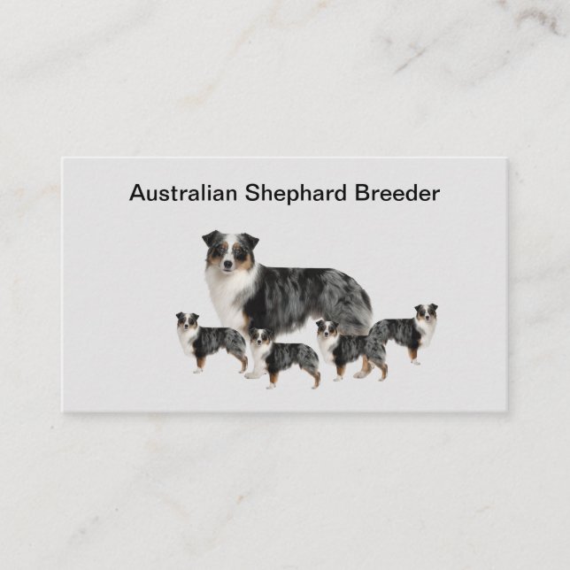 Australische Shephard Dog Breeder Business Cards Visitenkarte (Vorderseite)