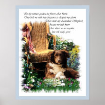 Australische Shepherd Art Print