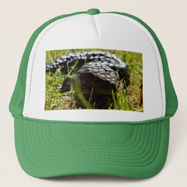 Australische Stumpy Lizard, Truckerkappe (Vorderseite)