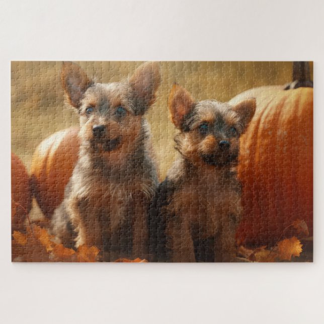 Australische Terrier Welpe Autumn Delight Pumpkin (Horizontal)
