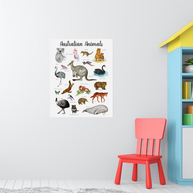 Australische Tiere | Bildung Lernunterricht Poster (Kinderzimmer 1)