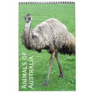 australische Tiere Kalender