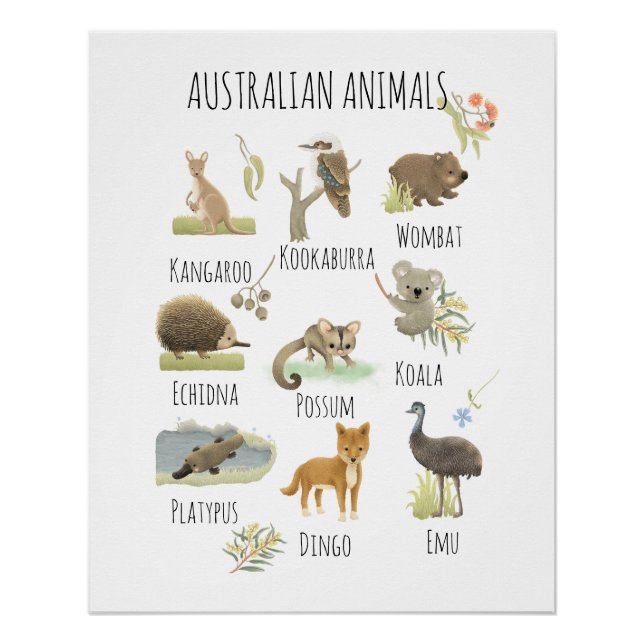Australische Tiere Poster (Vorderseite)