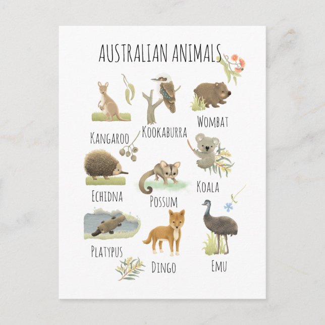 Australische Tiere Postkarte (Vorderseite)
