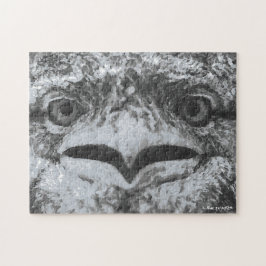 Australische Tierwelt, Natur-Miesepeter, Tier