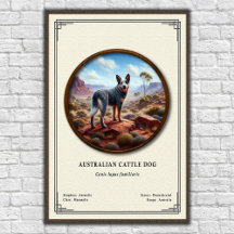 Australische Tierzucht-Hund Zoologie-Serie