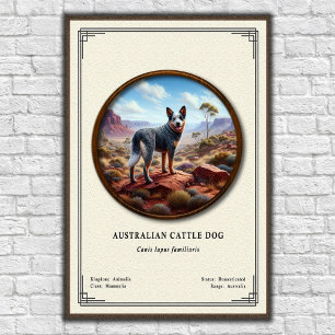 Australische Tierzucht-Hund Zoologie-Serie Poster
