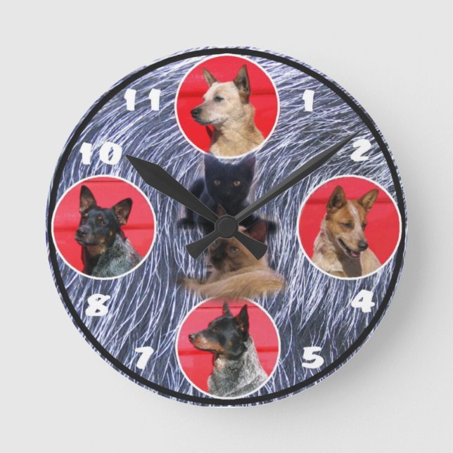 Australische Uhr für Rinder und Hunde (Vorderseite)