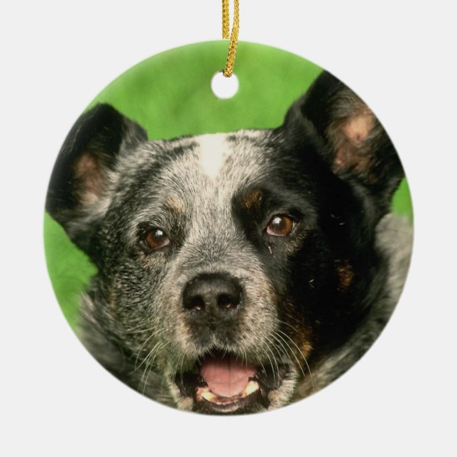 Australische Vieh-Hundeverzierung Keramikornament (Vorne)