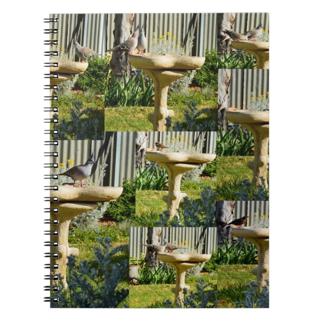 Australische Vögel auf Vogel Bath, Notebook Notizblock (Vorderseite)